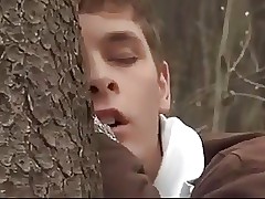 Twinks Fucked wits Their Ride.