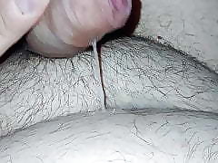 Bring together learn of parrot cum