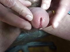 similar my gradual penis, my foreskin, my glans plus my peehole