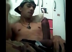 novinho dotado