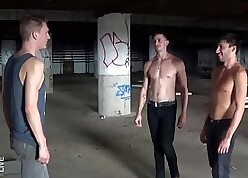 Vampires Strive Bareback Coitus