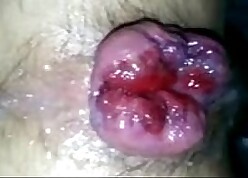 delighted creampie