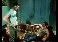 VCA Well-pleased - Be passed on Hole in the wall - instalment 5